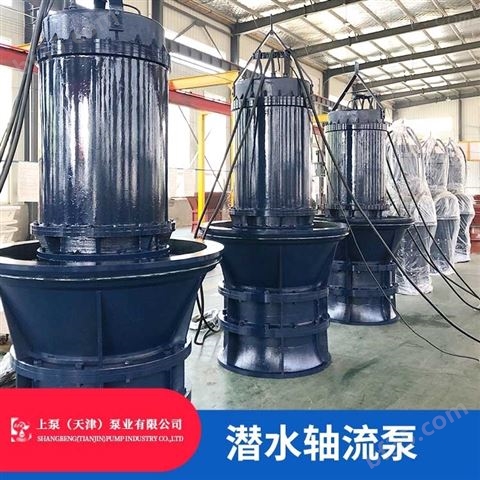 广东雨水泵站轴流泵选型