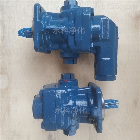 KF8RF1-D15齿轮泵电动机油输送泵润滑油泵