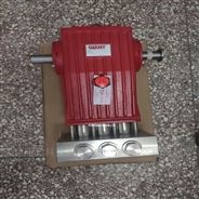 美国GiantLP600高压泵