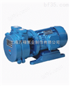SK型悬臂式水环真空泵（上海厂家价格，选型，说明）
